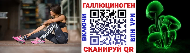 Галлюциногенные грибы Psilocybe  Балтийск 