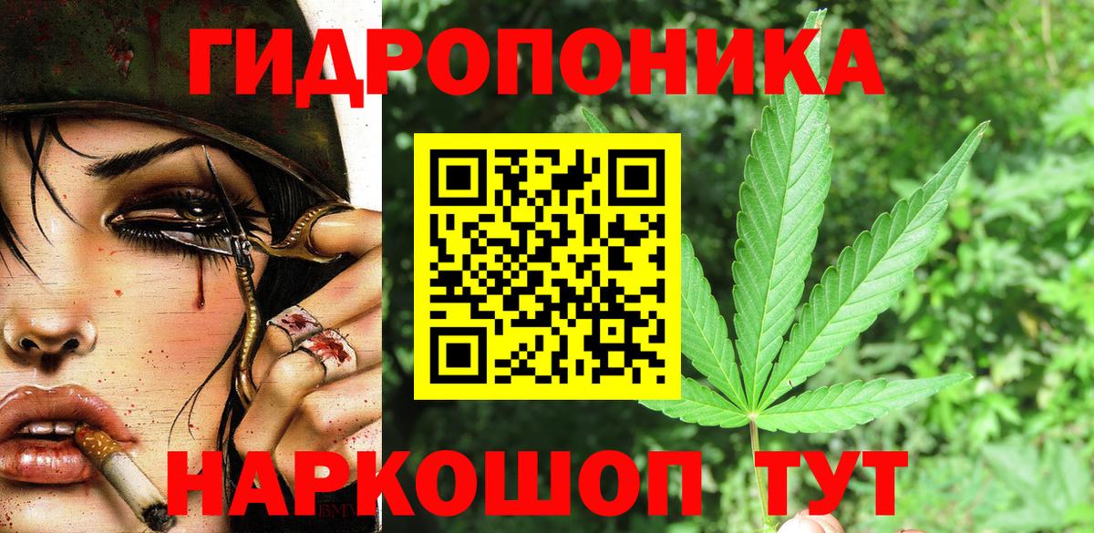 Шишки марихуана Ganja Балтийск